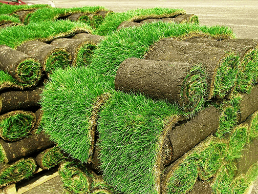 Turf laying services