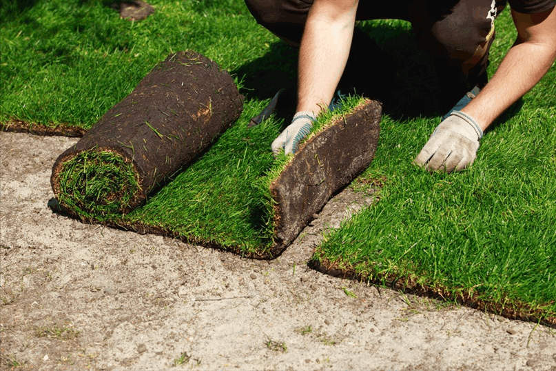 Turf Installation 