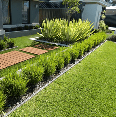 Turf Lawn